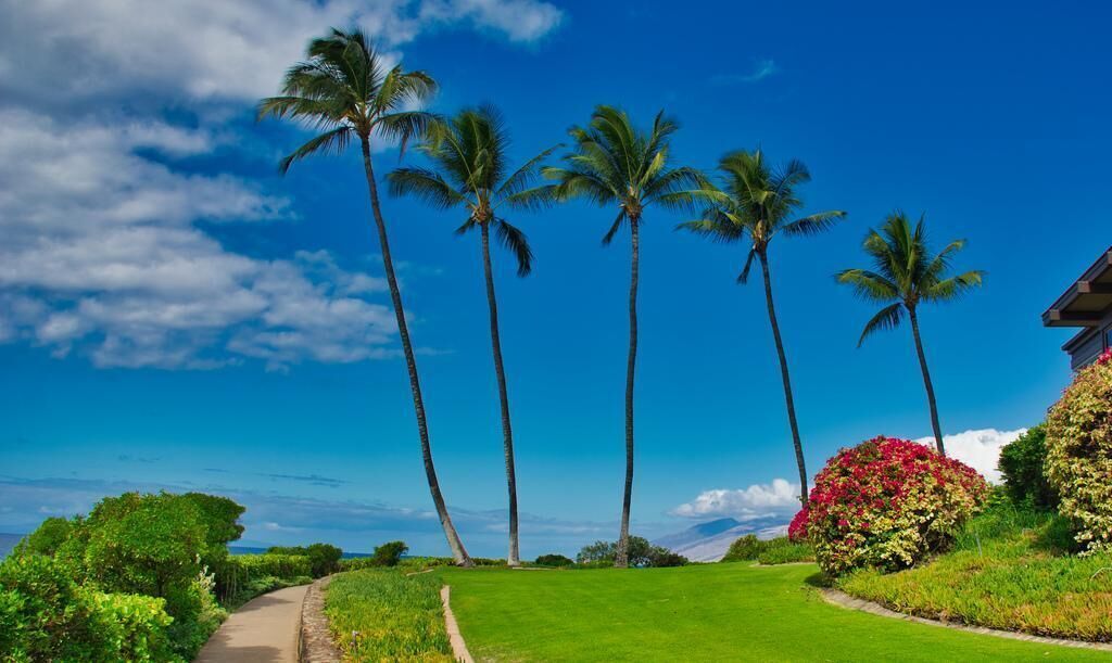 #35. Hawaii